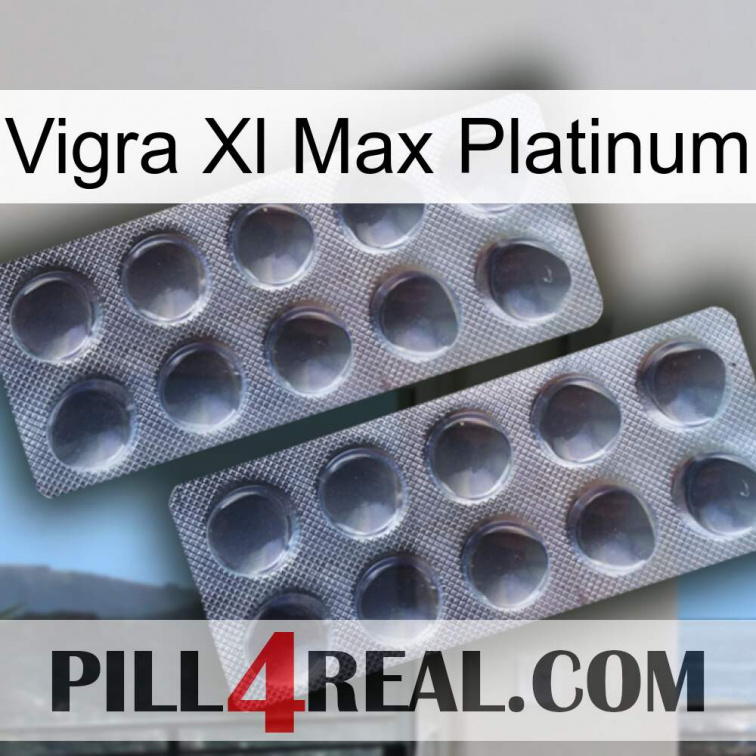 Vigra Xl Max Platinum 31